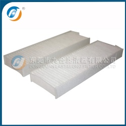 Cabin Filter  6447.XF